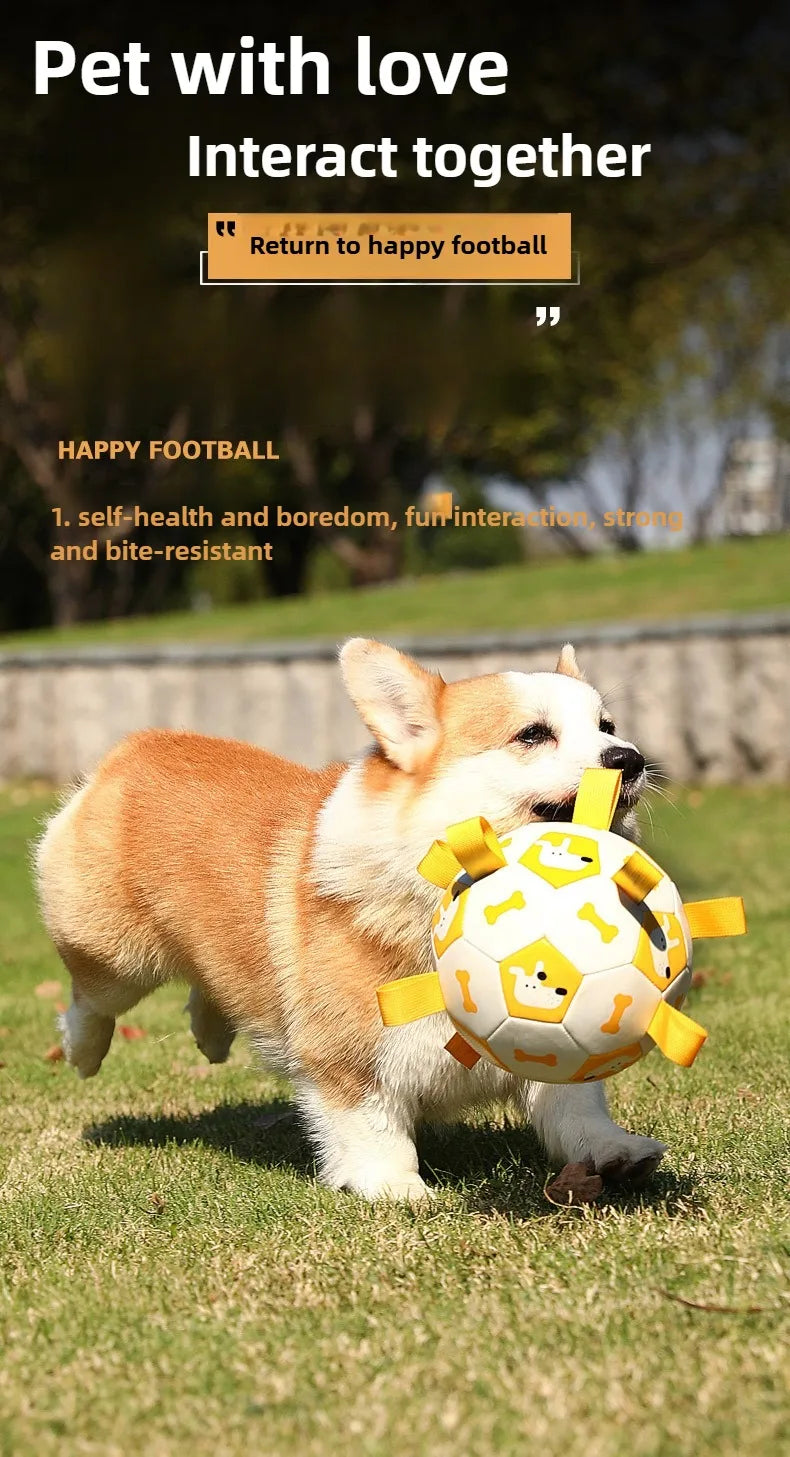 Dog Training Soccer Ball Toy Inflatable Chew-Resistant Squeaky - My Pet Serenity