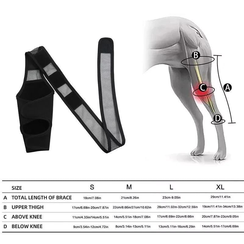 Dog Knee Brace for Joint Pain - Leg Support Injured Elderly Dogs - My Pet Serenity