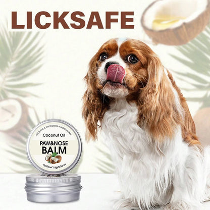 Pet Paw & Nose Balm for Dogs & Cats — Relieves Dry Noses, Cracked Paws - My Pet Serenity