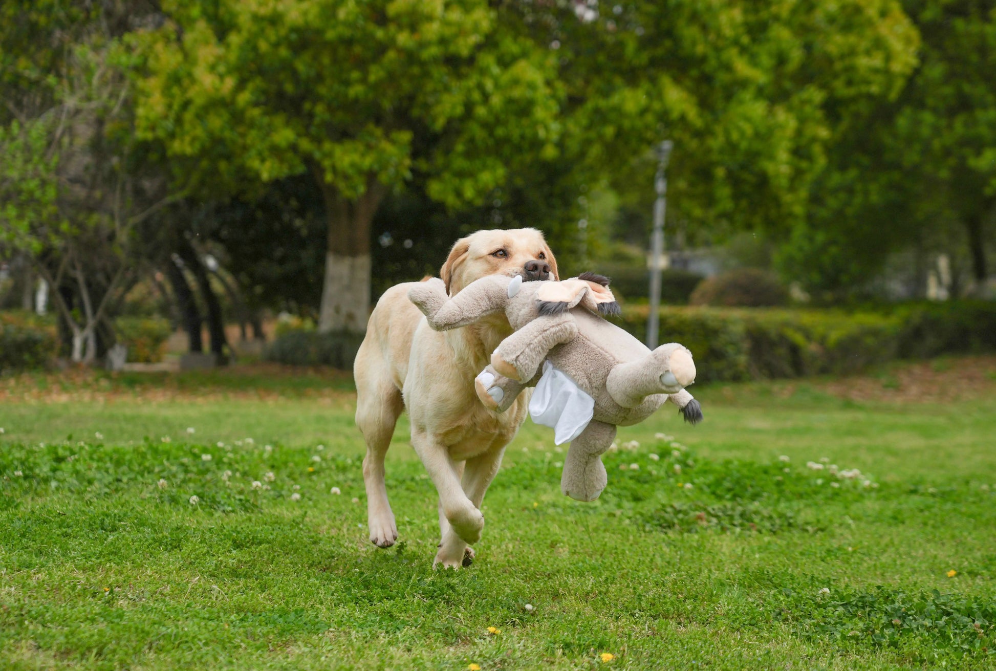 Mammoth Puppy Heartbeat Stuffed Toy for Anxiety Relief - My Pet Serenity