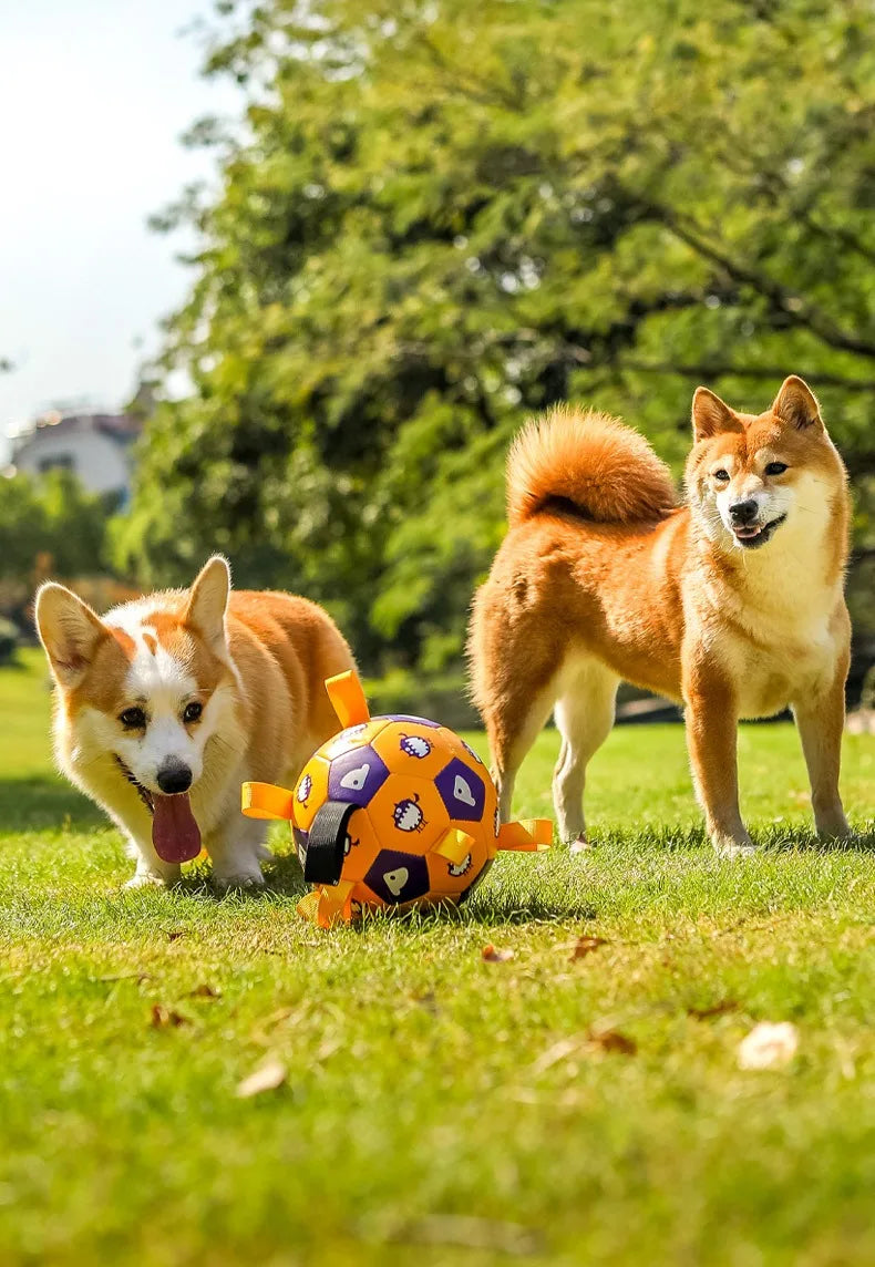 Dog Training Soccer Ball Toy Inflatable Chew-Resistant Squeaky - My Pet Serenity