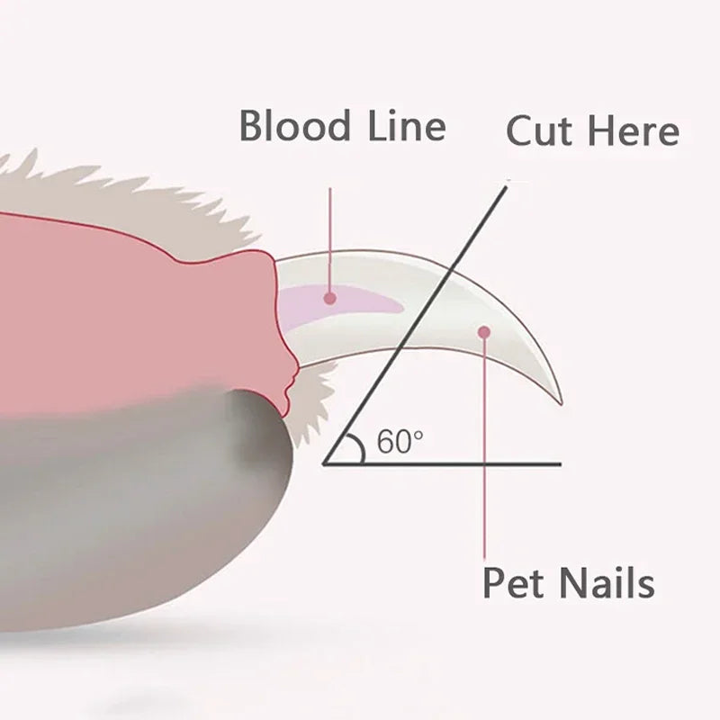 Pet Nail Clippers with LED Light for Dogs, Cats, Small Animals - My Pet Serenity