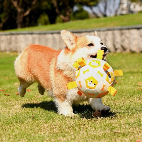 Dog Training Soccer Ball Toy Inflatable Chew-Resistant Squeaky - My Pet Serenity