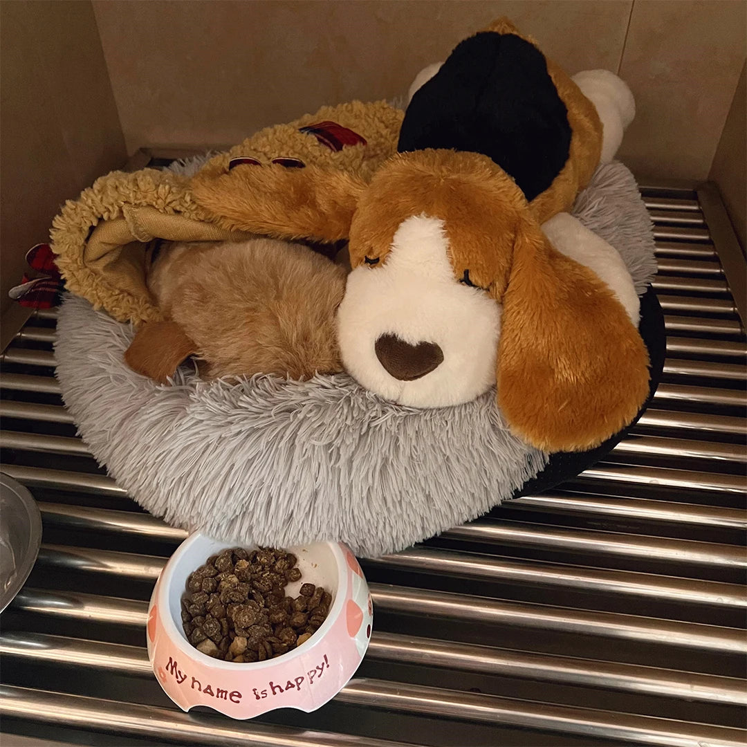 Puppy Heartbeat Toy with Squeaky Chew for Crates and Kennels Sleep Aid - My Pet Serenity