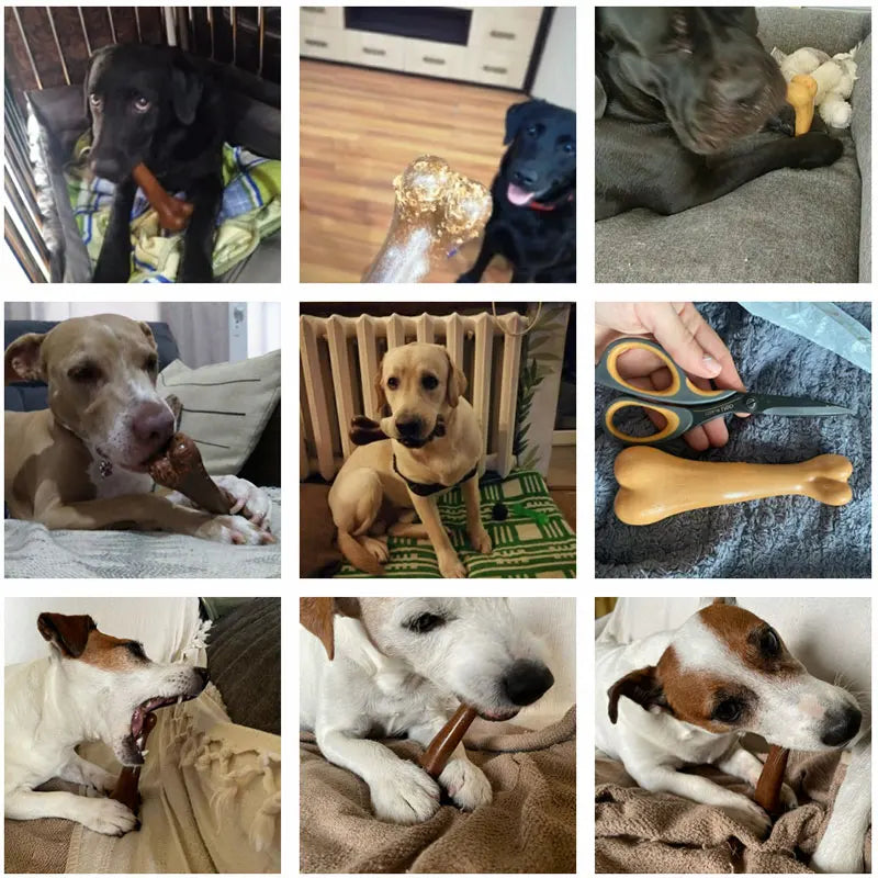Natural Dog Chew Toy Bone Bite-Resistant Puppy Teething Toy - My Pet Serenity
