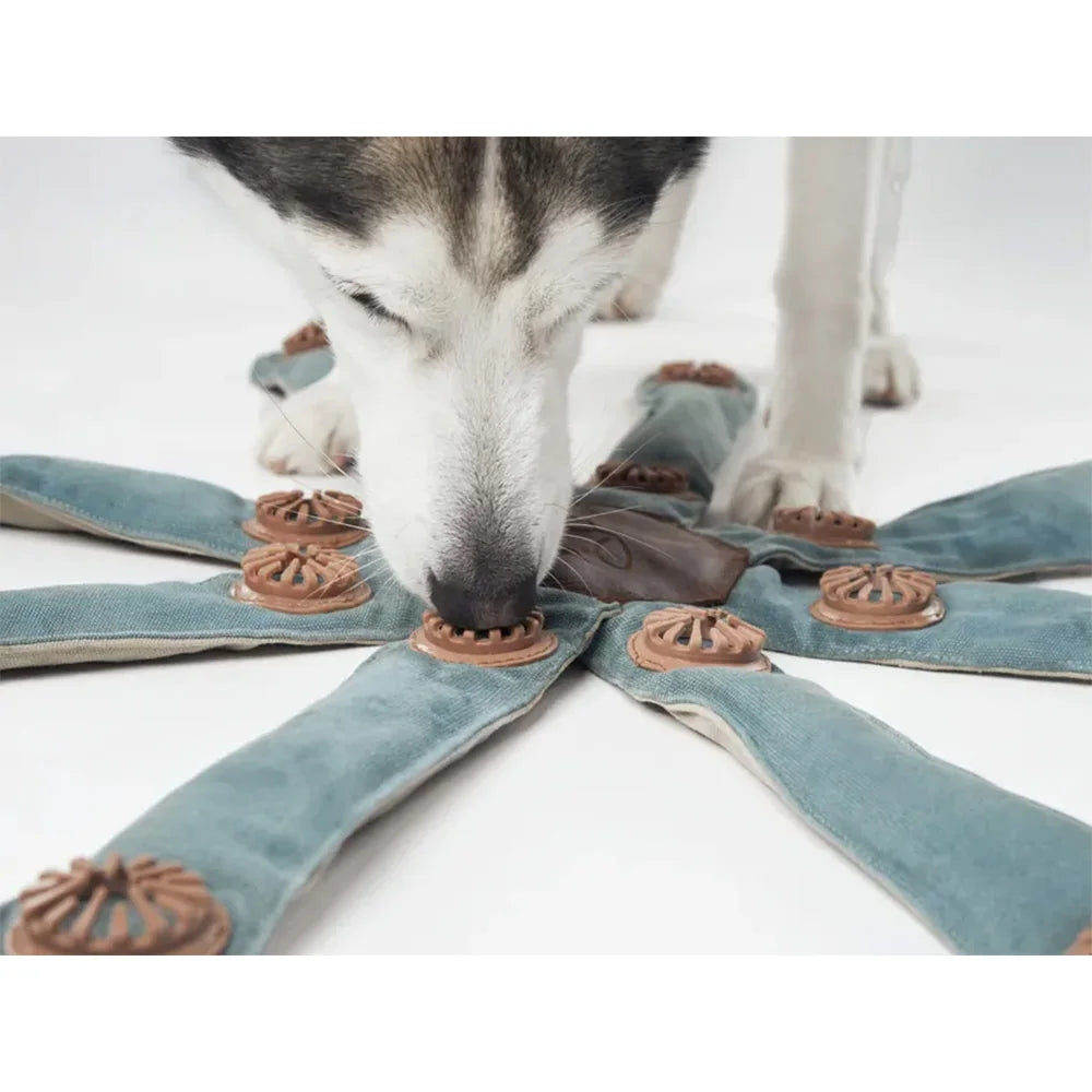 Octopus-shaped dog toy with 24 treat pockets brain-boost - My Pet Serenity