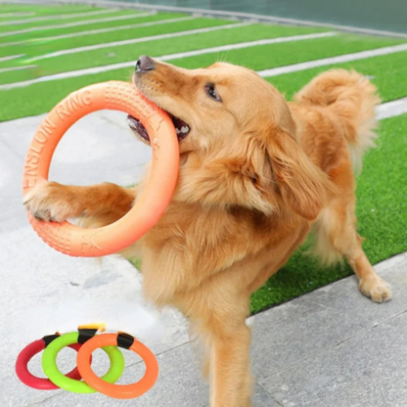 Orange EVA Dog Training Ring & Flying Disk Toy - Interactive Puller - My Pet Serenity