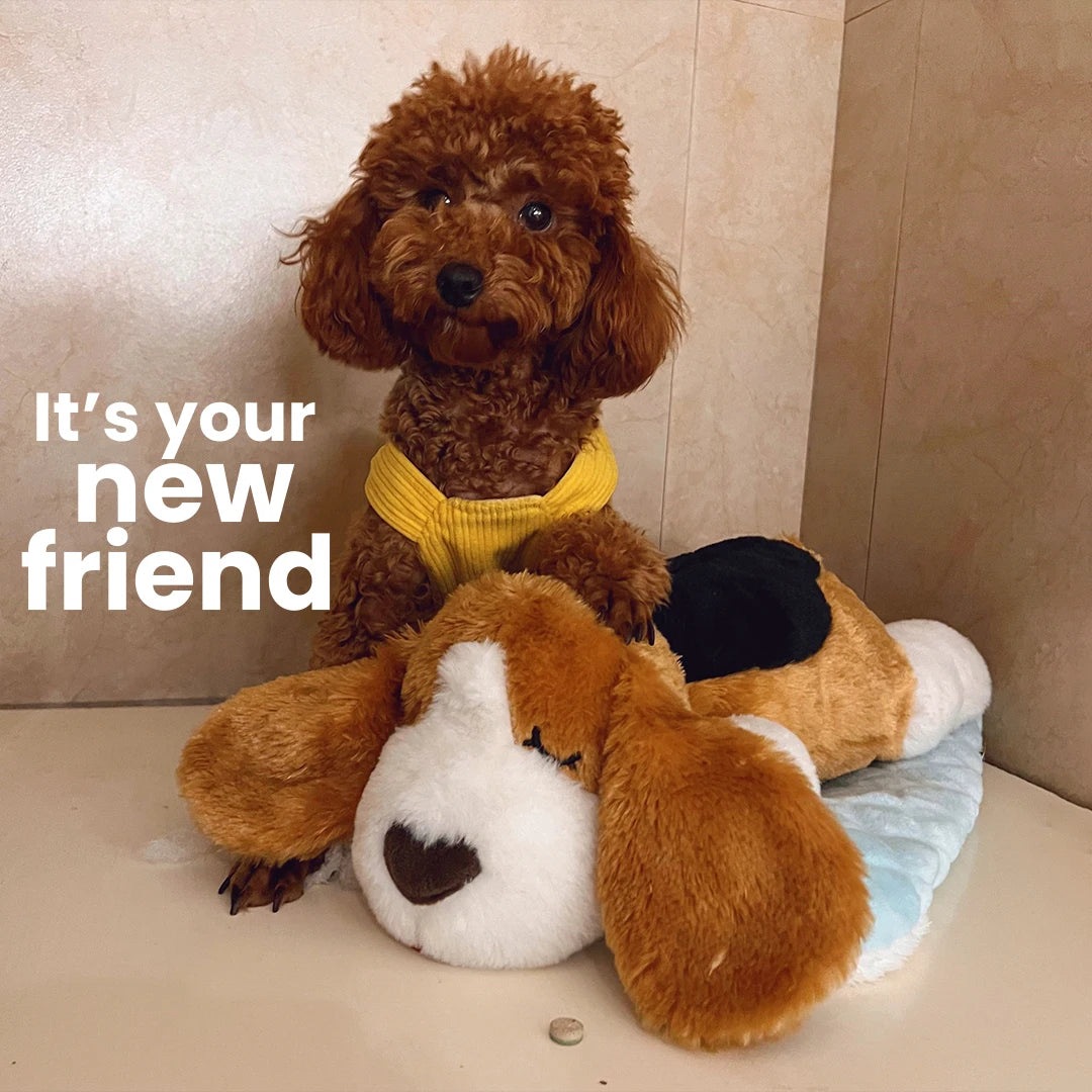 Puppy Heartbeat Toy with Squeaky Chew for Crates and Kennels Sleep Aid - My Pet Serenity