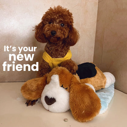 Puppy Heartbeat Toy with Squeaky Chew for Crates and Kennels Sleep Aid - My Pet Serenity