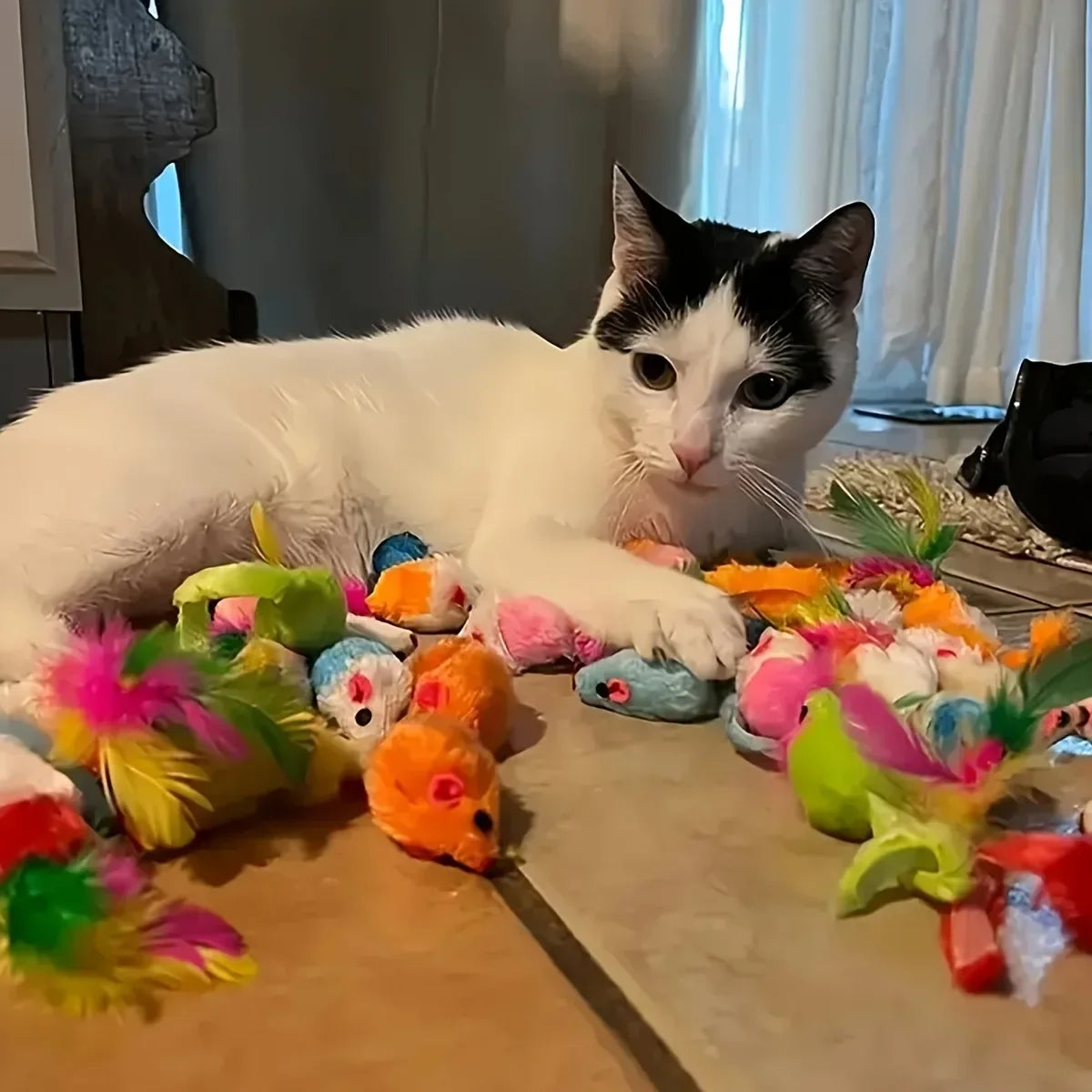 Cat Toys Mix Pack (56/28/14 pcs): Plastic & Plush for Multiple Cats - My Pet Serenity