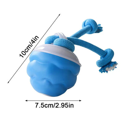 USB Interactive Dog Toy Ball Electronic Moving Ball for Puppies - My Pet Serenity