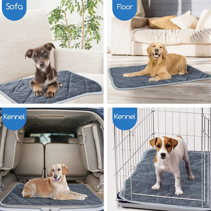 Self-Heating Pet Pad for Dogs & Cats, Kennel Mat, Washable, Anti-Slip - My Pet Serenity