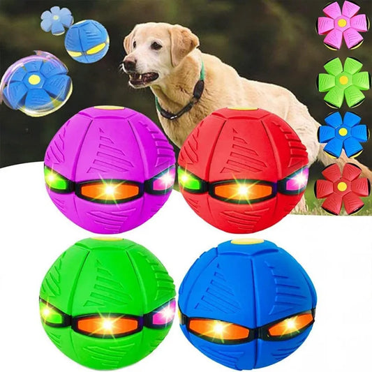 Dog Toy Flying UFO Morph Ball Outdoor Interactive Training Ball - My Pet Serenity