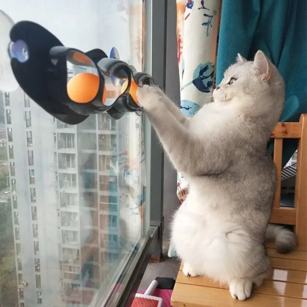 Cat Track Toy with Suction Cup Ball for Window/Glass Mount - My Pet Serenity