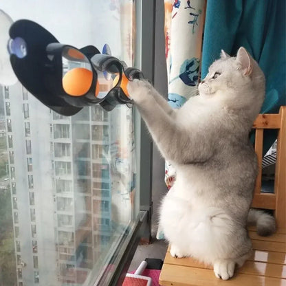 Cat Track Toy with Suction Cup Ball for Window/Glass Mount - My Pet Serenity