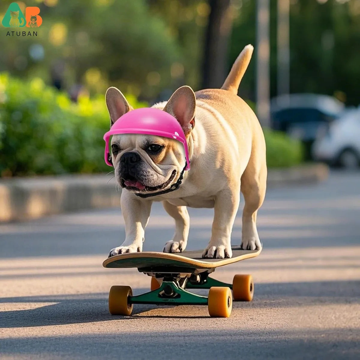 Medium Dog Motorcycle Helmet with Ear Holes, Adjustable Strap - My Pet Serenity